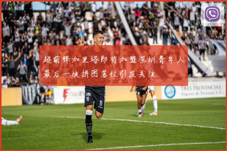 超前锋加里塔即将加盟深圳青年人最后一块拼图落位引发关注