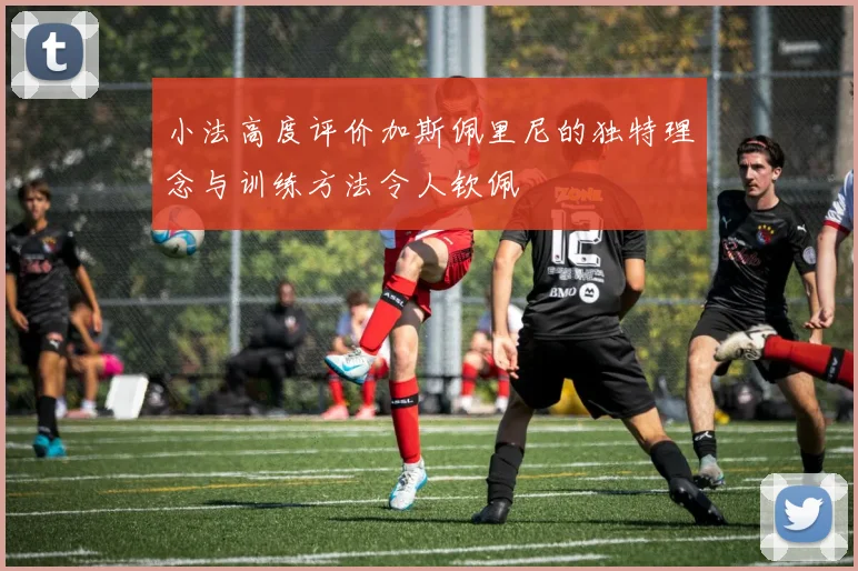 小法高度评价加斯佩里尼的独特理念与训练方法令人钦佩